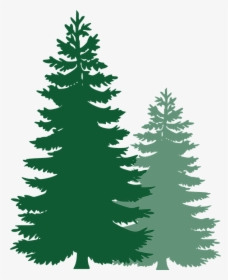 Pine Trees, Spruce Trees, Evergreen Trees, Tree, Spruce - Vector Pine Tree Png, Transparent Png, Free Download