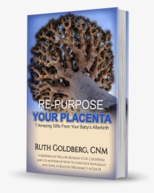Re-purpose Your Placenta , Association Of Placenta - Dragon's Blood Tree, HD Png Download, Free Download