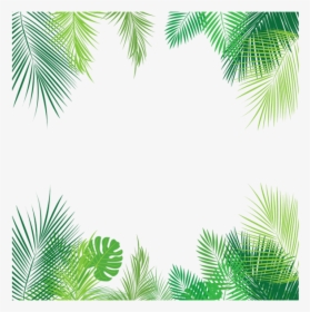 #summer #border #frame #palmleaves #leaves #overlay - Tropical Leaves Png, Transparent Png, Free Download