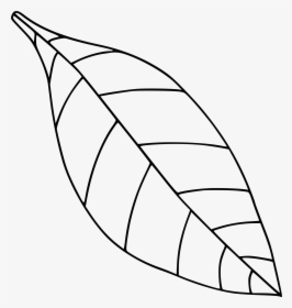 Plain Single Leaf Clip Arts - Apple Leaf Clipart Black And White, HD Png Download, Free Download