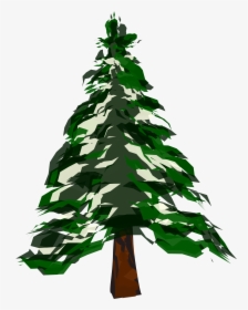 How To Draw A Tree - Png Cartoon Pine Tree, Transparent Png, Free Download