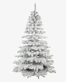 Christmas Tree Kiruna Snow - Christmas Ornament, HD Png Download, Free Download