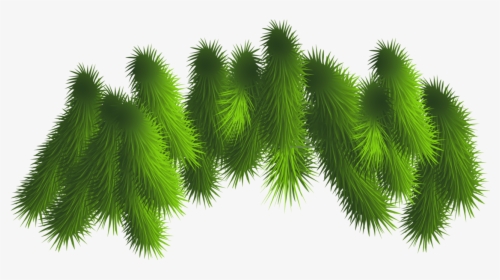 Transparent Pine Branches Png Clipart - Christmas Tree Branches Png, Png Download, Free Download