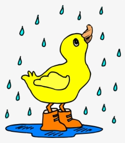 Rain, Duck, Puddle, Boots, Water, Bird, Cute, Animal - Duck In The Rain Clipart, HD Png Download, Free Download