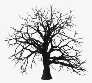 Old Tree Transparent Background Png - Old Tree Silhouette Png, Png Download, Free Download