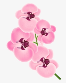 Pink Orchid Clipart Png Transparent Png , Png Download - Orchid Flower Clip Art, Png Download, Free Download