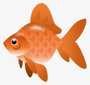 Fish,illustration - Fish Clip Art Transparent, HD Png Download, Free Download