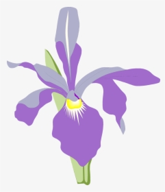 Orchid Free Stock Photo Illustration Of A Purple Orchid - Orchid Flower Illustration Png, Transparent Png, Free Download