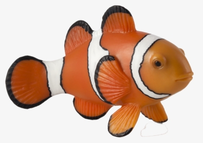 Clown Fish Png Free Background - Clown Fish Toys, Transparent Png, Free Download
