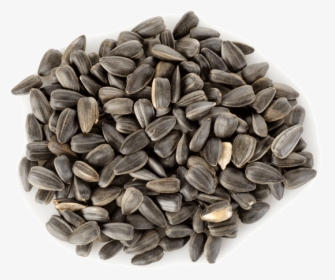 Download Sunflower Seeds Png Hd - Sunflower Seeds Png, Transparent Png, Free Download
