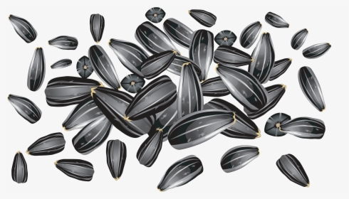 Download Sunflower Seeds Png Clipart - Sunflower Seed Vector Free, Transparent Png, Free Download