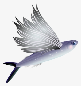 Fish Png Transparent Image - Fly Fish Png, Png Download, Free Download
