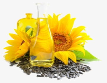 Sunflower Seed And Oil - Buy Sunflower Seed Products, HD Png Download, Free Download