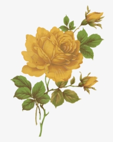 Transparent Vintage Floral Png - Transparent Png Vintage Floral, Png Download, Free Download