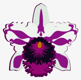 This Png File Is About Orchid , Cattleya , Orquidea, Transparent Png, Free Download