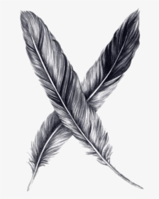 Plumas Dibujo - Drawing Black And White Feather, HD Png Download, Free Download