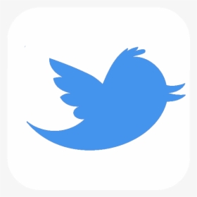 Download Black Vector Twitter Logo Png Background