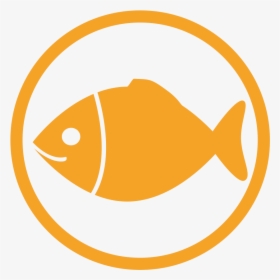Fish Allergy Amber Icon - Fish Icon, HD Png Download, Free Download