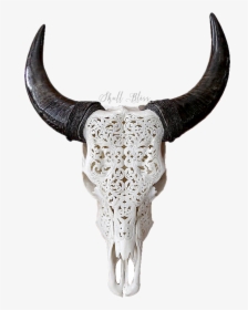 Texas Longhorn Skull Bull Goat - Buffalo Long Horn Skull, HD Png Download, Free Download
