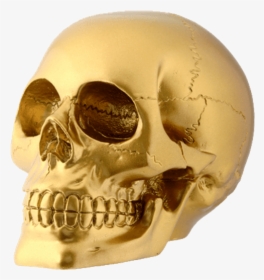 Skull Human Skeleton Human Head - Gold Skull, HD Png Download, Free Download