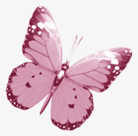 Transparent Pink Butterfly Png - Mauves Butterflies Png, Png Download, Free Download