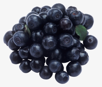 Blueberry, HD Png Download, Free Download