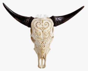 Texas Longhorn Animal Skulls Bull - Cow Skull Transparent, HD Png Download, Free Download