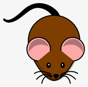 Computer Mouse Rat Free Content Clip Art - Brown Mouse Clipart, HD Png Download, Free Download
