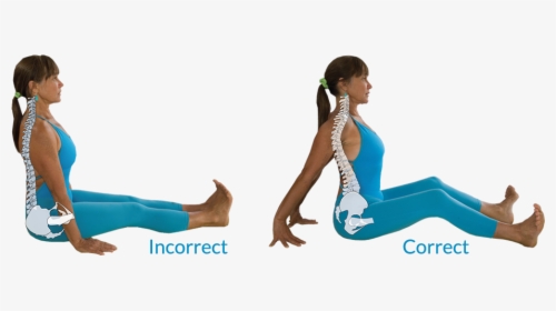 Staff Pose Is One Of Several Yoga Poses That Require - Yogalign Dog, HD Png Download, Free Download