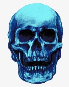 Skull Png Blue, Transparent Png, Free Download
