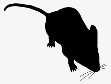 Little Mouse Sniffing Around - Mouse Silhouette No Background, HD Png Download, Free Download