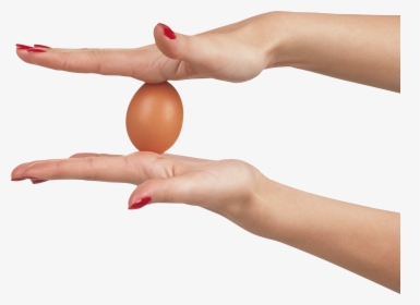 Eggs, HD Png Download, Free Download