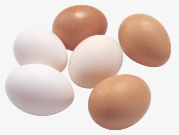 Egg Png Image, Transparent Png, Free Download