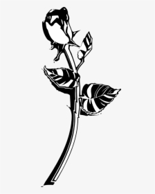 Panda Free Images Blackroseclipart - Black And White Rose Png, Transparent Png, Free Download