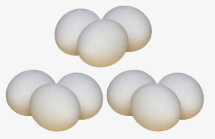White Egg Png Photo - White Eggs Transparent Background, Png Download, Free Download
