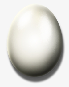 White Egg Png Download Image - Egg White Transparent Png, Png Download, Free Download