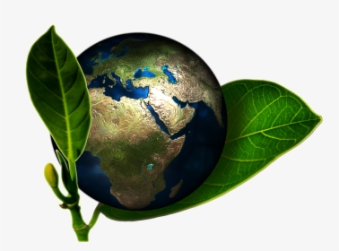 Sustentabilidade E Meio Ambiente Png, Transparent Png, Free Download