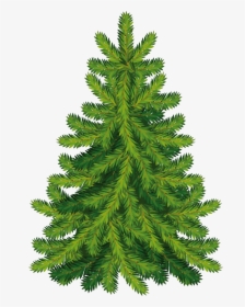 Fir Tree Png Image - Christmas Tree, Transparent Png, Free Download