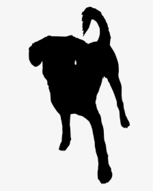 Transparent Soldiers Silhouette Png - Dog Silhouettes Png, Png Download, Free Download