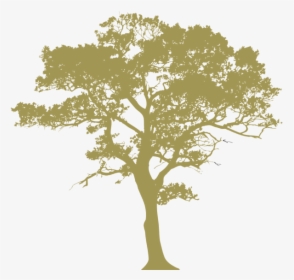 Oak Leaf Png - Transparent Background Tree Silhouette, Png Download, Free Download