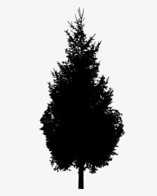 Pine Tree Silhouette Png - Tree Silhouette Png File, Transparent Png, Free Download