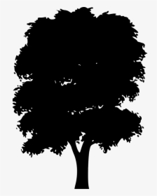 Tree Silhouettes - Png Vector Tree Silhouette, Transparent Png, Free Download