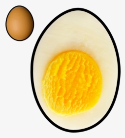 Picture - Egg, HD Png Download, Free Download