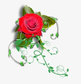 Transparent Rose Vines Png - Transparent Rose Vines, Png Download, Free Download