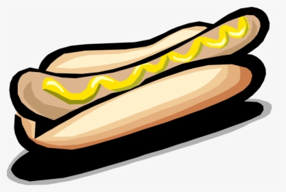 Vector Illustration Of Cooked Hot Dog Or Hotdog Frankfurter, HD Png Download, Free Download