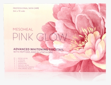 Pink Glow - Garden Roses, HD Png Download, Free Download