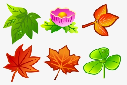 Various Types Of Leaves, HD Png Download, Free Download