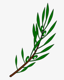 Olive Branch Vector Png - Olive Branch Drawing Png, Transparent Png, Free Download