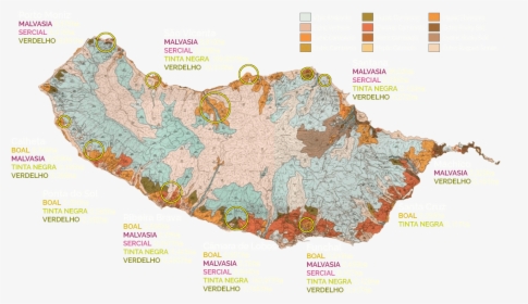 Madeira Wine Map - Atlas, HD Png Download, Free Download