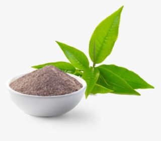 Green Tea Thai Icon Png, Transparent Png, Free Download